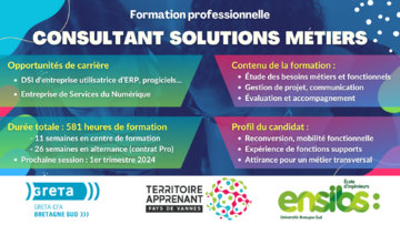 FORMATION Consultant solutions métiers